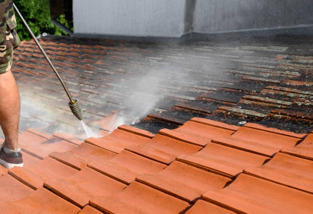 Best Power Washing Near Me  in Wind Gap, PA